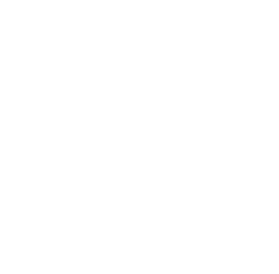 Shining Stars